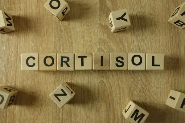 The Hidden Connection: How Stress Shapes Your Fitness and Body Composition 2 Image saying "Cortisol" and how stress Scottish impacts your wellbeing and bodies shape